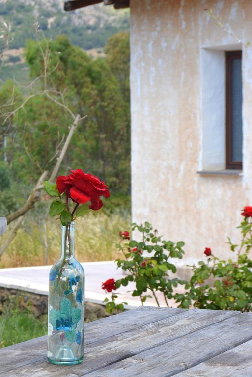 Agriturismo Rubinu Galtelli Bilik gambar