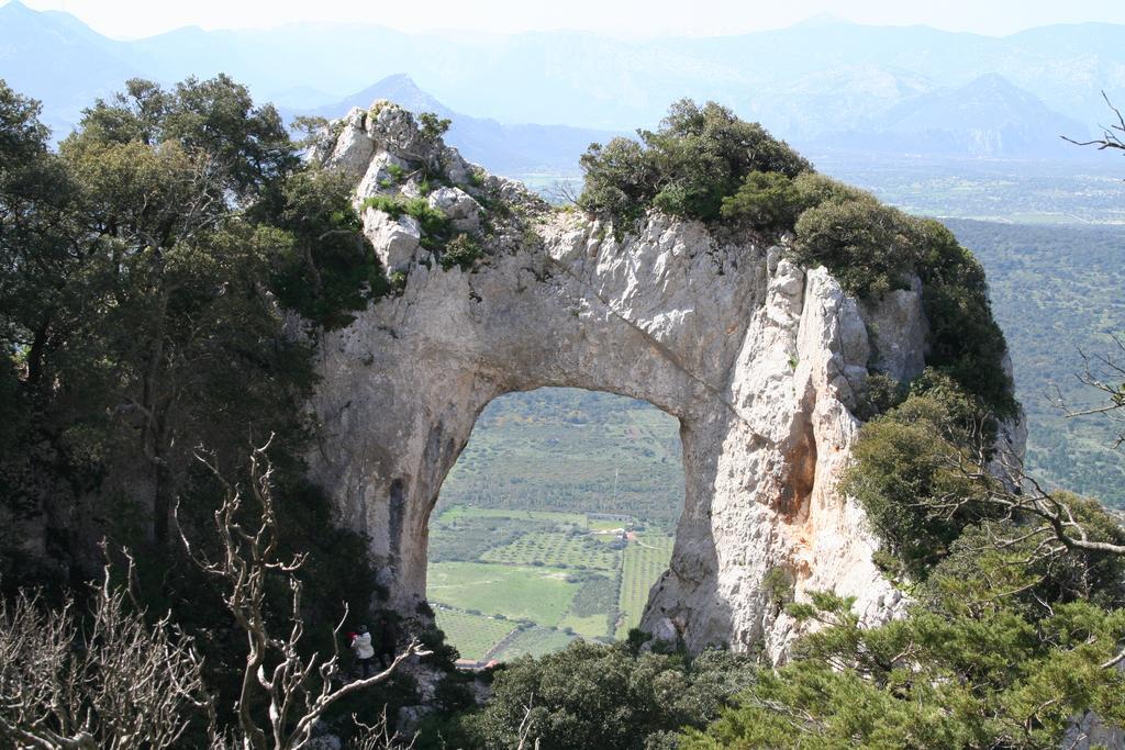Agriturismo Rubinu Galtelli Luaran gambar